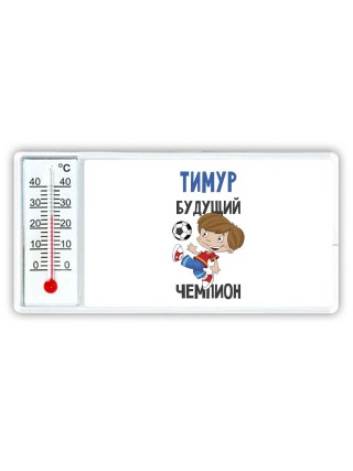 Тимур будущий чемпион
