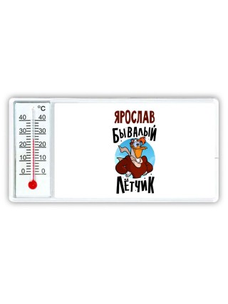Ярослав бывалый лётчик