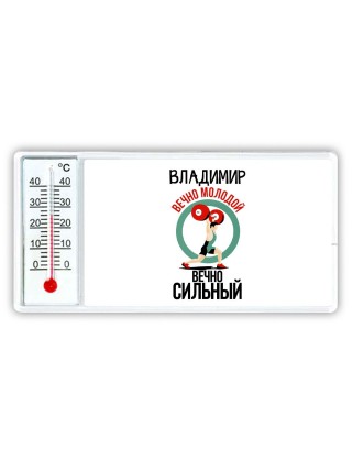 Владимир вечно молодой вечно сильный
