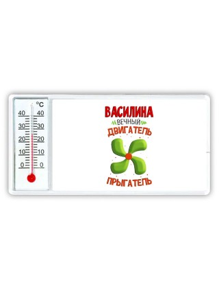 Василина вечный двигатель прыгатель