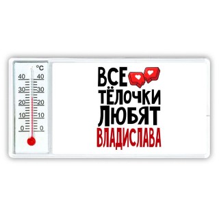 Все тёлочки любят Владислава