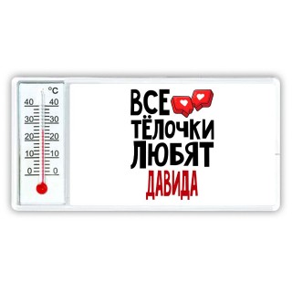 Все тёлочки любят Давида