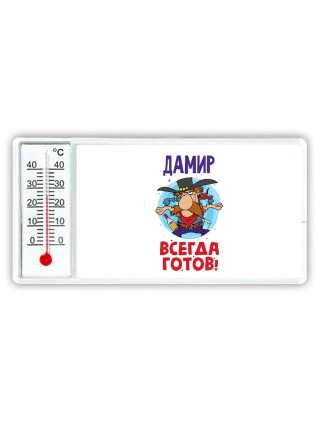 Дамир всегда готов