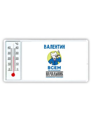 Валентин всем начальникам начальник подчиненных командир