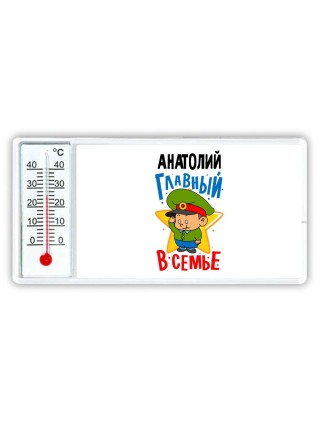 Анатолий главный в семье