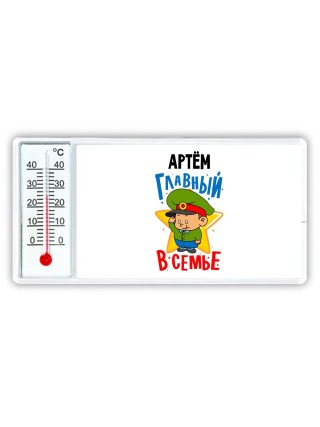 Артём главный в семье