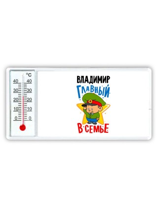 Владимир главный в семье