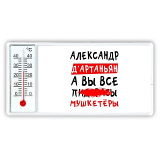 Александр д'артаньян, а вы все пи... мушкетёры