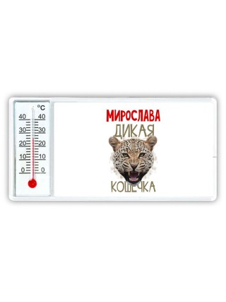 Мирослава дикая кошечка