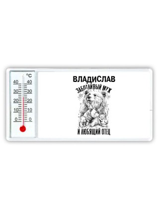 Владислав заботливый муж и любящий отец