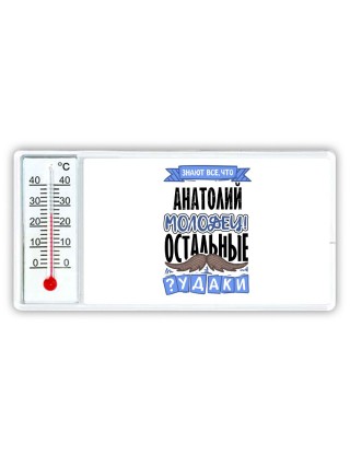 Знают все, что Анатолий молодец! остальные чудаки