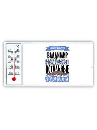 Знают все, что Владимир молодец! остальные чудаки