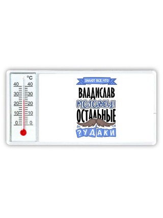 Знают все, что Владислав молодец! остальные чудаки