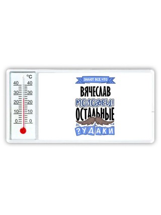 Знают все, что Вячеслав молодец! остальные чудаки