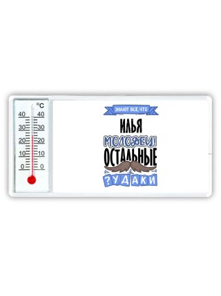 Знают все, что Илья молодец! остальные чудаки