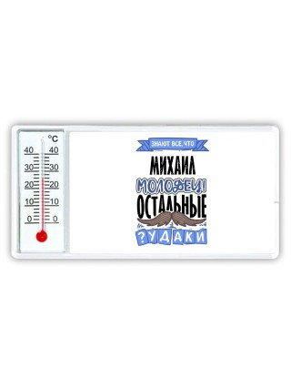 Знают все, что Михаил молодец! остальные чудаки
