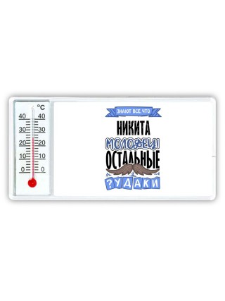 Знают все, что Никита молодец! остальные чудаки