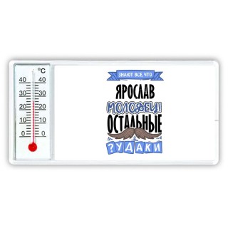 Знают все, что Ярослав молодец! остальные чудаки