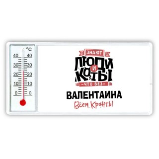 Знают люди и коты, что без Валентаина всем кранты