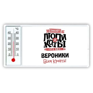 Знают люди и коты, что без Вероники всем кранты