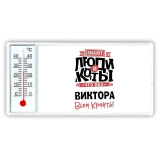 Знают люди и коты, что без Виктора всем кранты