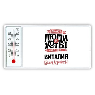 Знают люди и коты, что без Виталия всем кранты