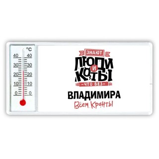 Знают люди и коты, что без Владимира всем кранты