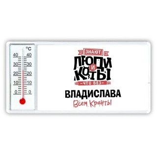 Знают люди и коты, что без Владислава всем кранты