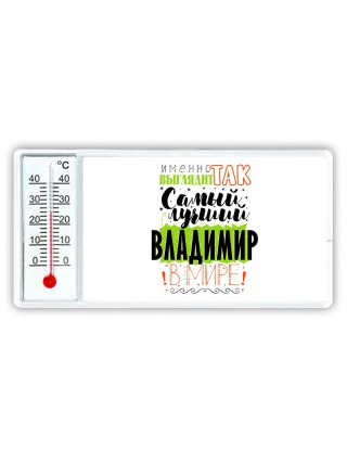 Именно так выглядит самый лучший Владимир в мире