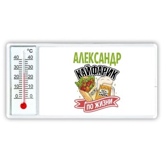 Александр кайфарик по жизни