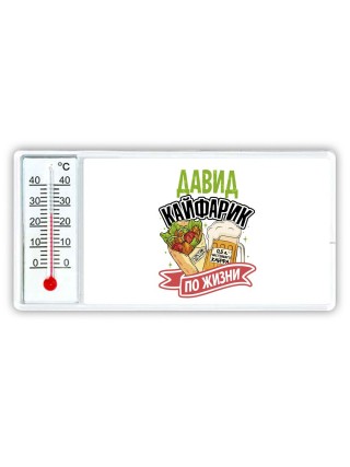 Давид кайфарик по жизни
