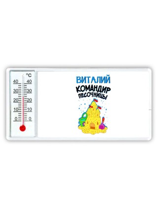 Виталий командир песочницы