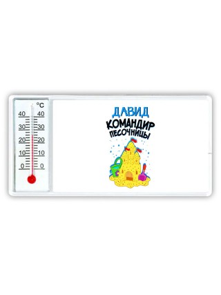 Давид командир песочницы