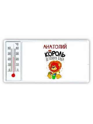 Анатолий король детского сада