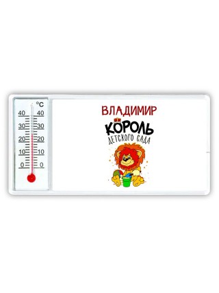 Владимир король детского сада