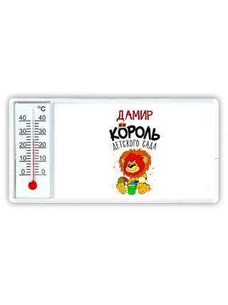 Дамир король детского сада