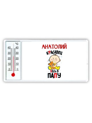 Анатолий красавец весь в папу