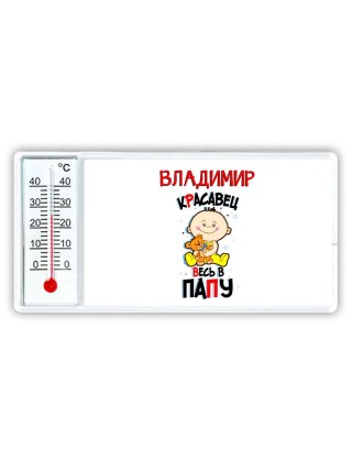 Владимир красавец весь в папу