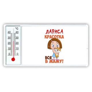 Лариса красотка вся в маму