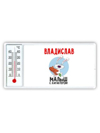 Владислав малыш с характером