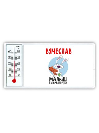 Вячеслав малыш с характером