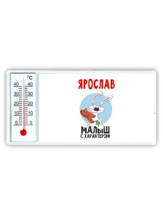 Ярослав малыш с характером