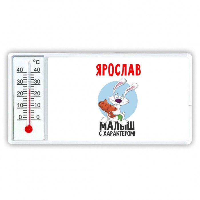 Ярослав малыш с характером