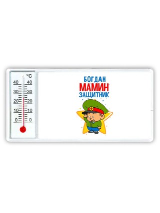 Богдан мамин защитник