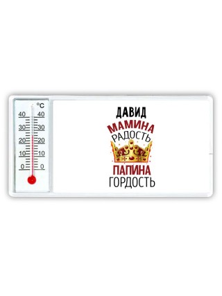 Давид мамина радость папина гордость