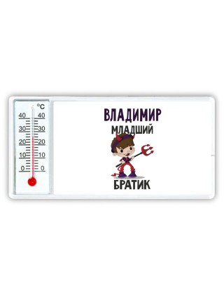 Владимир младший братик