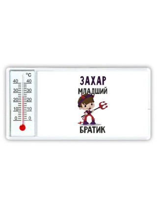 Захар младший братик