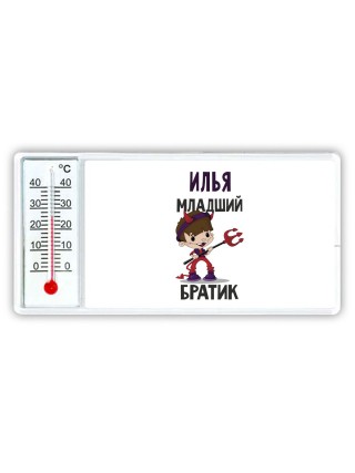 Илья младший братик