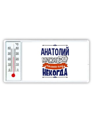 Анатолий может всё только ему некогда