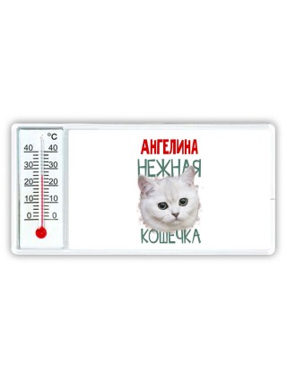Ангелина нежная кошечка